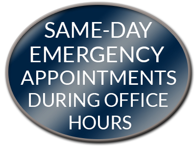 Same Day Emergency Appointments Farmington Hills